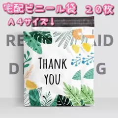 Item thumbnail for item cacc870a-0b9b-4358-bcd2-b82f75596c28