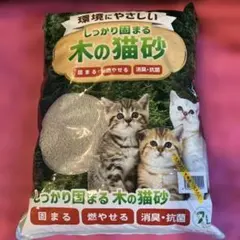 Item thumbnail for item 86357f4d-c7b9-4e2d-92f2-f22db39baa4d