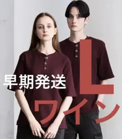 clel ファンクショナリー サーマル ヘンリー ネック 半袖 Tシャツ xs