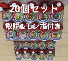 ポケパークカントー ピンバッチ ゼニガメ カメール カメックス 3体