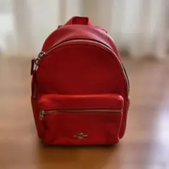 COLE HAAN クラシック U05662 バックパック リュックサック - メルカリ