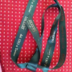 Item thumbnail for item df5c4c9b-2ac7-47fc-ae2a-232fcc714f3d