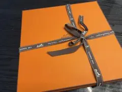 HERMES オレンジ シルク　ポケットチーフ【未使用】
