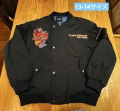 Item thumbnail for item c7fb4e36-10e5-4c92-b220-eeb180be7790