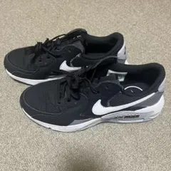 Nike Air Max ブラック/グレー/ホワイト