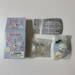 サンリオ ちびっとも うみのいきもの なりきりオイスター ポチャッコ セット