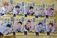 ハイキュー!! ピンバッジ 10個セット