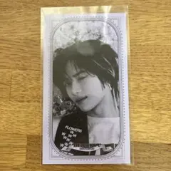 ボムギュ fight or escape お札