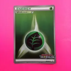 ポケモンカード　草エネルギー　キラ　プロモ