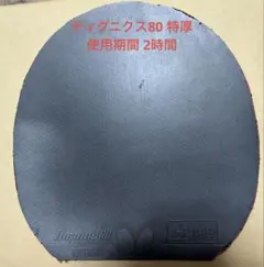 ディグニクス80