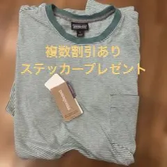 patagonia オーガニックコットン Tシャツ S
