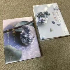 汝、星のごとく　星を編む　訳あり