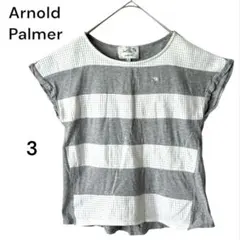 Arnold PalmerアーノルドパーマーボーダーカットソーTシャツロゴ刺繍のサムネイル