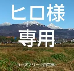 ヒロ様 リクエスト 3点 まとめ商品