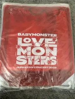BABYMONSTER ベビモン SS席　特典　パリタトレカあり