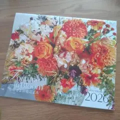 Item thumbnail for item 3af6d3db-3b7c-40b8-adef-e2e0ae5c59ee