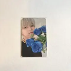 treasure ナイトガーデン ヨシ トレカ