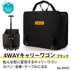 Item thumbnail for item c6bc92ca-03e1-4d80-836d-f52a18b51c20