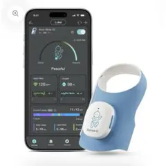 Item thumbnail for item aff4df31-6ea4-4f90-9242-f4624a0180b3