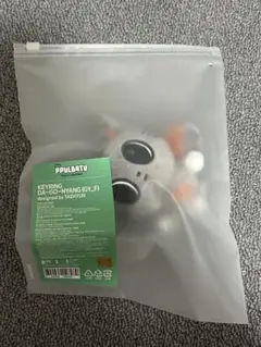 TXT テヒョン ダゴニャン キーリング 初期