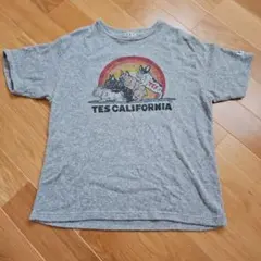 【美品】TES エンドレスサマー パイル生地 Tシャツ サイズMのサムネイル