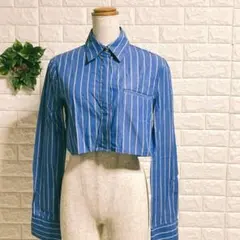 a1128 ZARA ザラ クロップド丈 ストライプ シャツ 長袖 ブルーXS