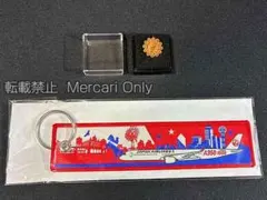 2025年最新】ana ピンバッチの人気アイテム - メルカリ