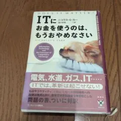 ITにお金を使うのは、もうおやめなさい