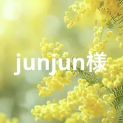 【395】ハンドメイド　オリジナル　アクセサリーチャーム　コネクター