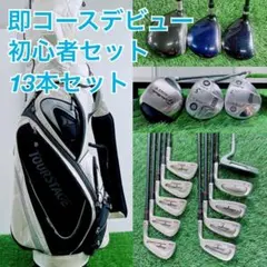 メンズ ゴルフ クラブ フルセット テーラーメイド 入り 11本 G3562