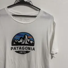 パタゴニア フィッツロイスコープ オーガニックTシャツ ホワイト S