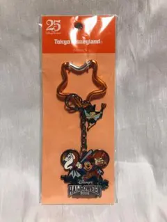 ディズニーランド 25周年 キーチェーン