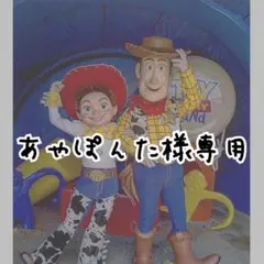 あやぽんた様専用ページ