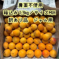 29 青森県産 訳あり 完熟梅 色梅 黄梅 箱込み1.3kg 自然栽培 ジャム用のサムネイル