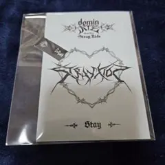 StrayKids チャンビン