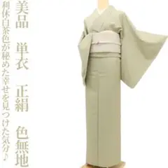 美品 単衣 着物“利休白茶色が秘めた小さな幸せを見つけた気分♪”色無地 S-31