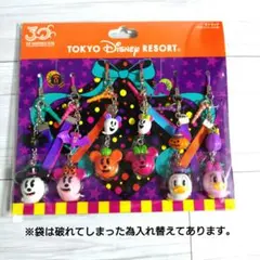 【DISNEY❊ハローウィン限定ストラップ】