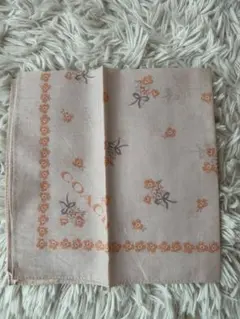 Item thumbnail for item 44d6510e-7e4d-4107-b19a-879afd58d6e4