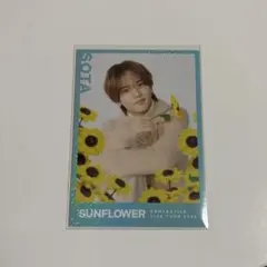 FANTASTICS 中島颯太 フォトカ シクレ