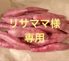 リサママ様　専用