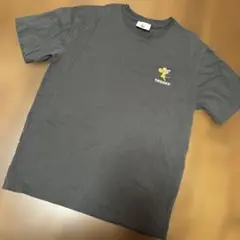 新品 トムとジェリー Tシャツ M ブラック