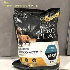 Item thumbnail for item 7a95d94f-9d87-4469-8053-a08c6b360dda