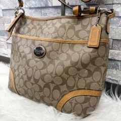 COACH コーチ レザーショルダーバッグ Y2Kシグネチャー 19822 革鞄