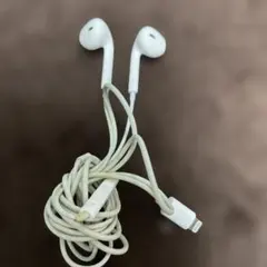 iPhone イヤホン　ライトニング