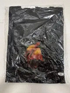 2025年最新】hyde黒ミサの人気アイテム - メルカリ