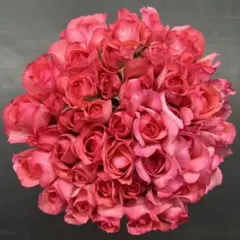 〜飾る香水〜アンソルスラン【生花・切り花】　30cm 40本《画像参照》のサムネイル