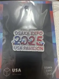 [超限定] USA 非売品ピンバッジ ナショナルデー限定 超限定] USA 非売品ピンバッジ ナショナルデー限定 超限定] USA