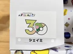 ポケセン キミにあえた！ シール ステッカー ジグザグマ シークレット