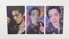 SEVENTEEN トレカ ディノ happy burstday