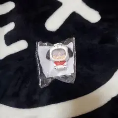 ★プロフ必読★ 三代目JSB 岩田剛典 着ぐるみキーホルダー ポチャッコ